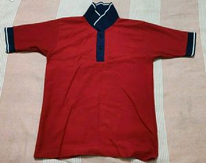 Kendriya Vidyalaya Red House Uniform