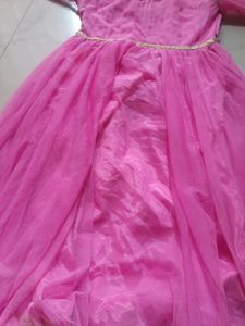 Ethnic Gowns