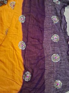 Elegant Embellished Saree