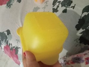 New Tupperware container