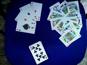 SENIOR PLAYING CARDS
