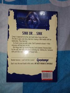 Camp Cold Lake And Horrorland Goosebumps Book