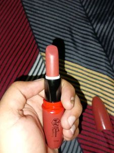 The Fashion Factory Waterproof Lipstick Dark Peach