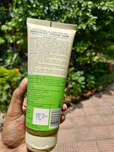 Pilgrim Anti Dandruff Conditioner