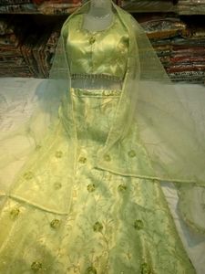 Elegant Green Lehenga Choli Set
