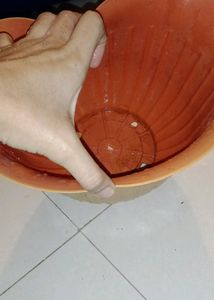 Planters