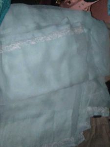 Elegant Ethnic saree