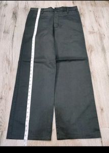 Sc0355 Plant Formal Pants Size 34