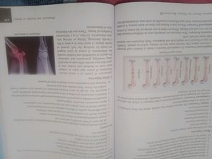 Health And Physical Education
