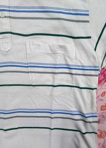 Striped Polo T-Shirt