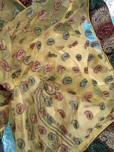 Heavy Wedding/Party/Festive Saree