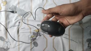 Computer Mouse
