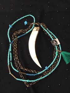Mother of pearl claw and Turquoise beads Necklace.