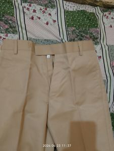 Formal Beige Colour Pant