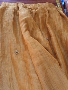 Embroidered Lehenga Choli