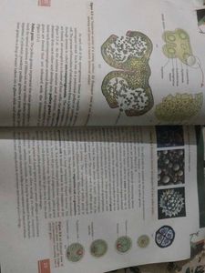 Biology Textbook Class XII