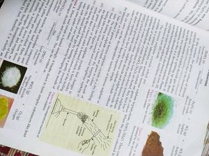 Tenth Class Books (Physics, Chemistry, Biology)