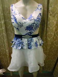 Floral Print Mini Dress