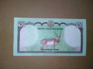 10 Nepalese Rupee banknote. UNC condition.