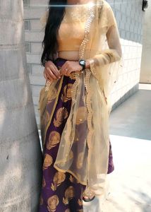 Elegant Lehenga &amp; blouse with frill