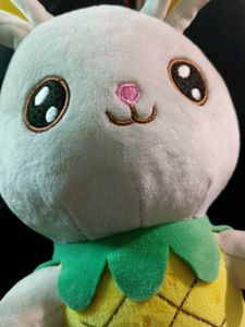 🐰🍍Bunny Rabbit Plushie / Soft toy / Plush 🐰🍍