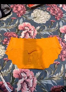 Red Brief Panties