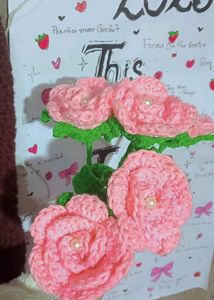 Crochet Pink Roses 🎀