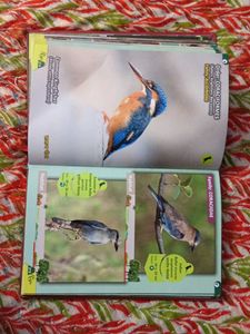Handbook of Melghat