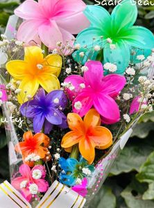 Flower Hair Clips pack of 2