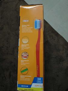 Classic Gold Sumo Toothbrush