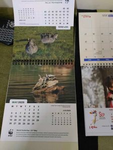 2025 Calender