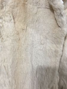 Winter Jacket!