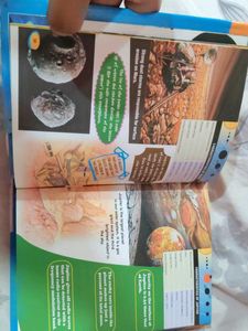 Junior Encyclopedia