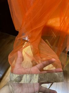 Coral Net Dupatta