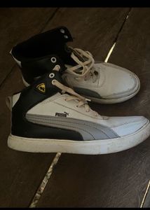 Puma Ferrari Sneakers
