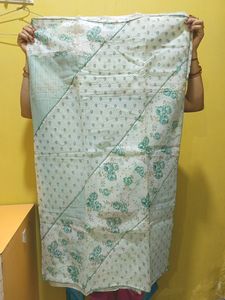 Beautiful Organza Saree