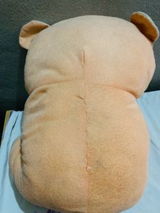 Teddy