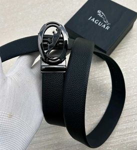 Jaguar Belts