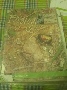NCERT