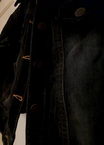 Solid Cropped Denim Women Jacket