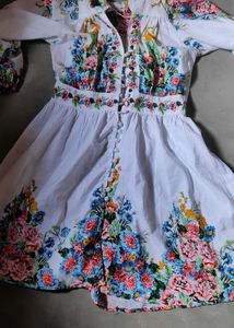 Floral Embroidered Mini Dress