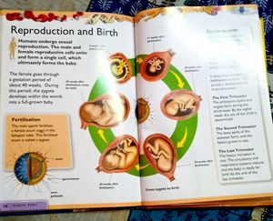 Encyclopedia Of Human Body (Rare To Find)