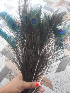 natural peacock feathers (15)
