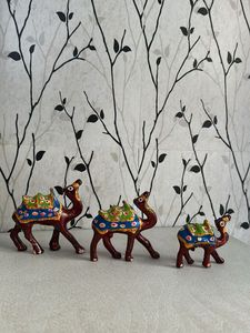 Camel Set