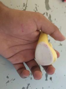 It is a Bird who speak when we pass air from i