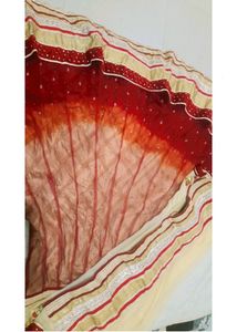Fish Cut Lehenga