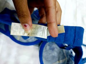 🇳🇿💫💗French Elegant Blue Net Bra
