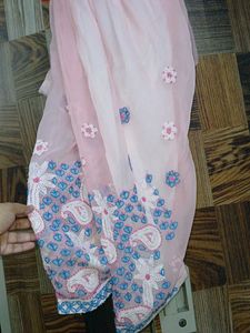 Elegant Embroidered Lucknowi Chicken Suit