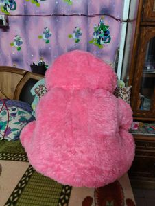 Cute Pink Teddy Bear