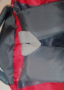 2 Backpacks